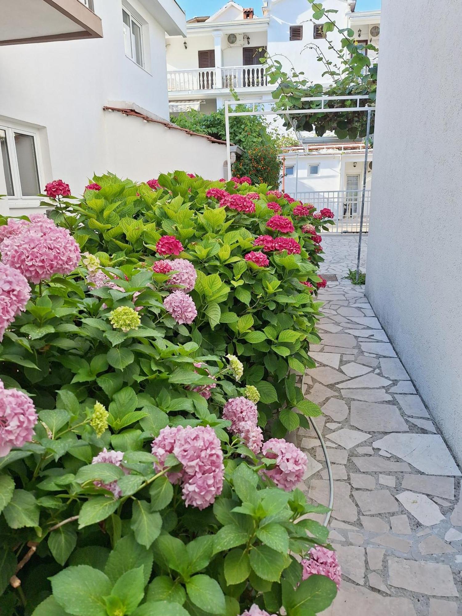 Apartmani Hortenzija Budva Exterior foto